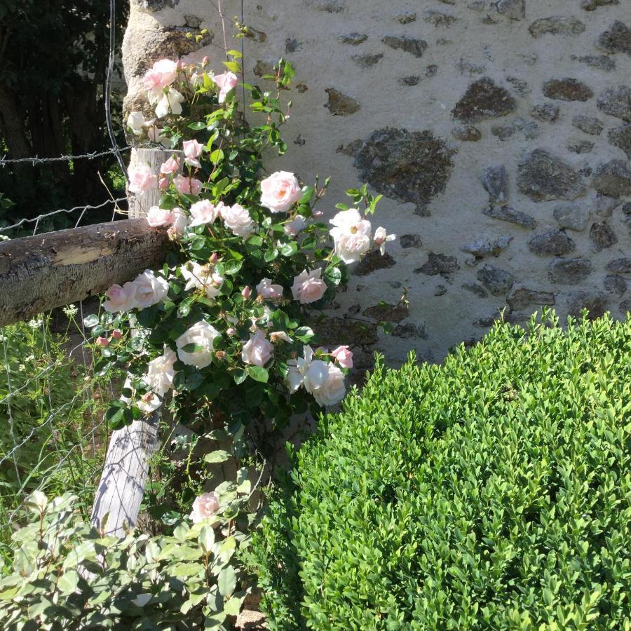 Adilly Les Epis Du Vent B&B 외부 사진